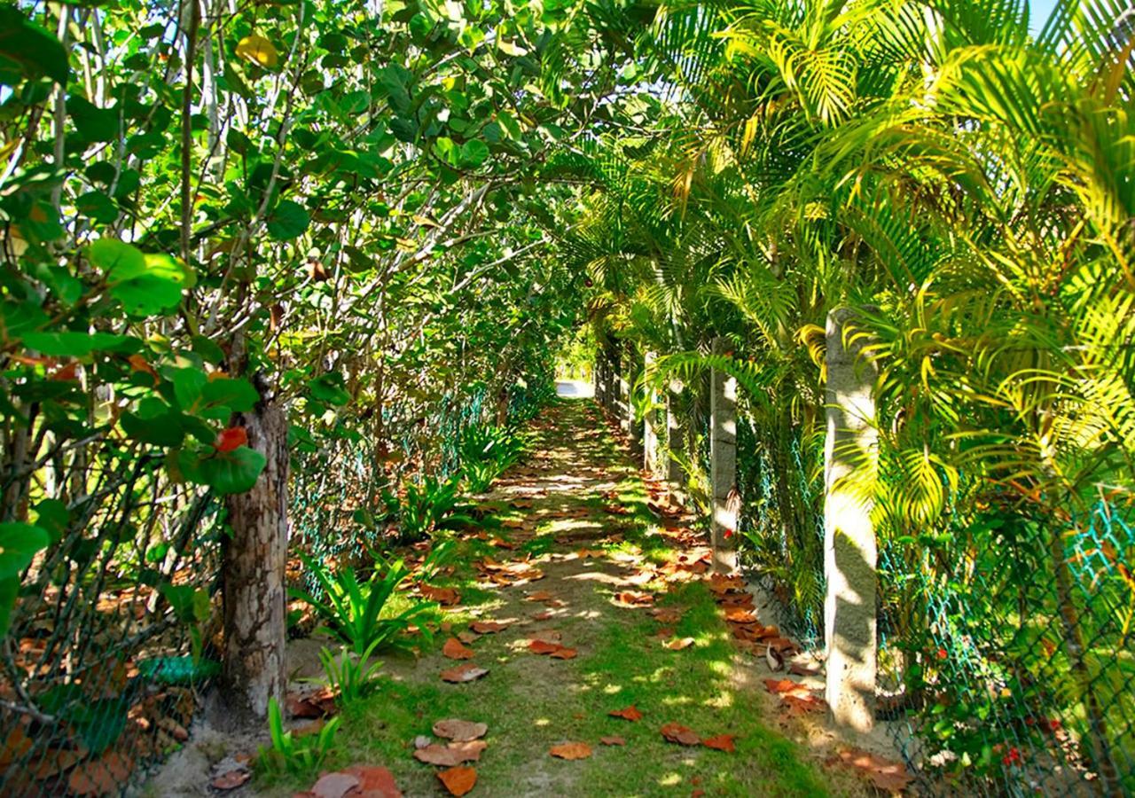 Chaykovski Boutique H Hotel Las Terrenas Exterior photo